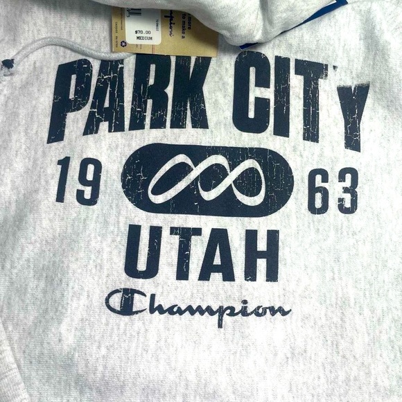 BNWT Champion Reverse Weave Park City Distressed Hoodie Unisex/Men’s M - Picture 5 of 16